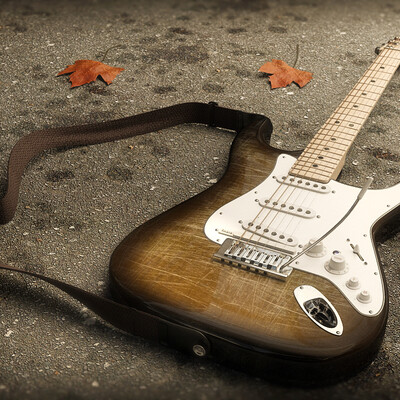 Fender Stratocaster VG - Autumn steps...