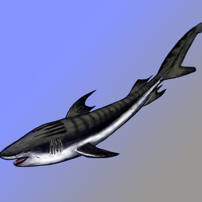 Akula