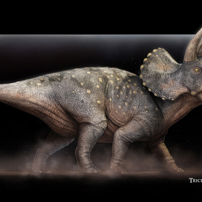 Triceratops horridus