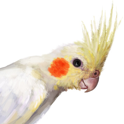 Popiguy