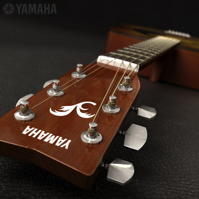 Akkusticheskaya gitara