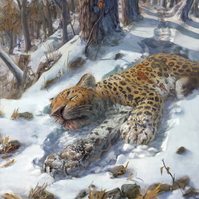 Mёrtvyiy dalnevostochnyiy leopard.