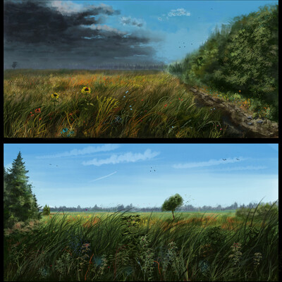 Landscapes