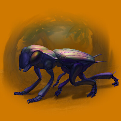 bionika na baze carabidae