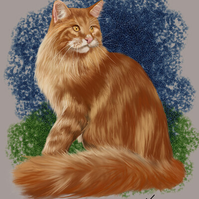 Tigr