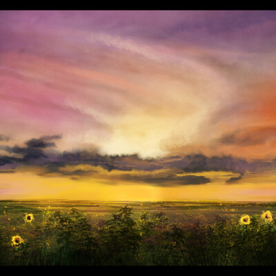 Sunflowers