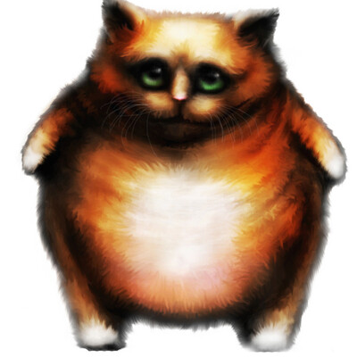 Kote