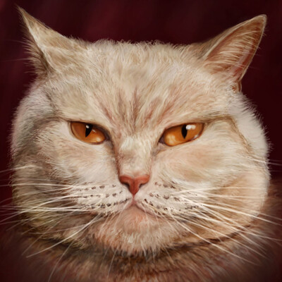 Portret kotika, variant vtoroy