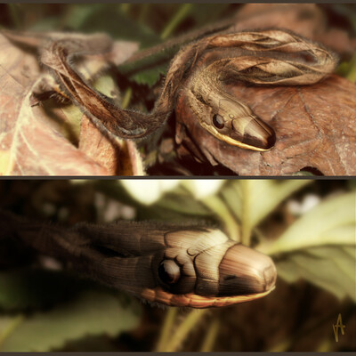 Lacesnake