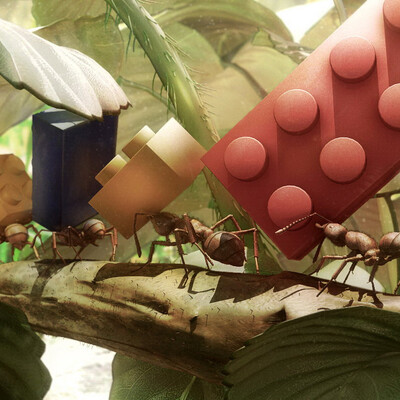Ants