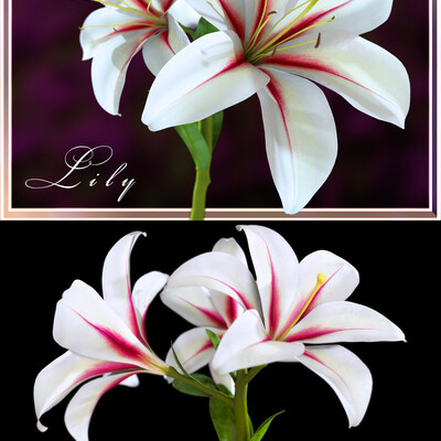 Liliya