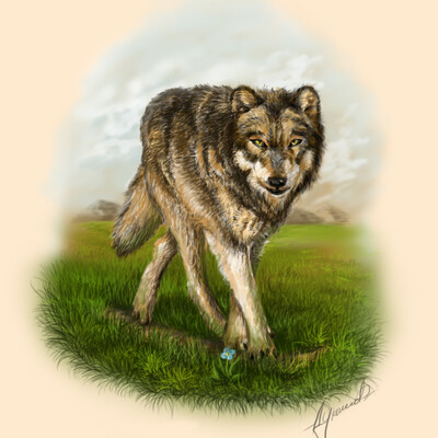 Volf2