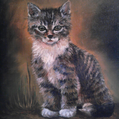 Kotenok