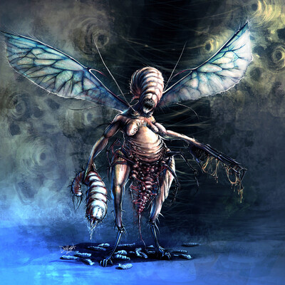 Insect