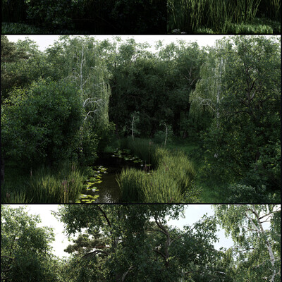 mixed forest