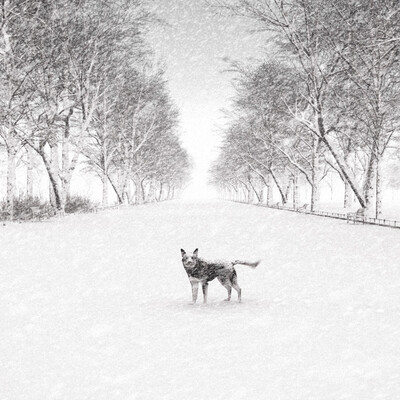 Cold weather
