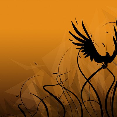Born to crawl will not be able to fly