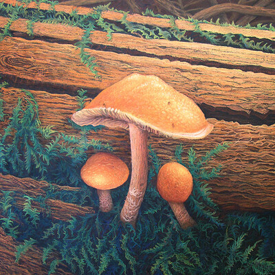 Mushroom trinity