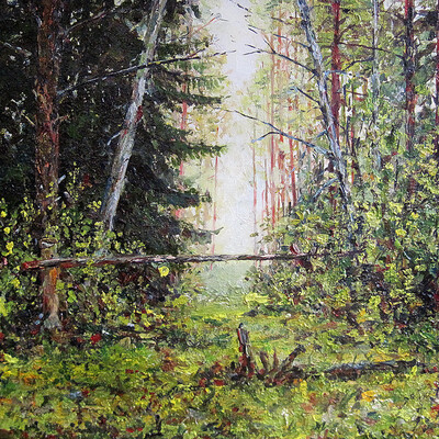 In pictures 30.40 cm