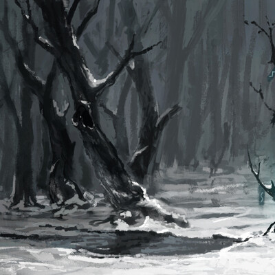 A boy in the wood
