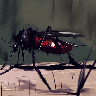 mosquito ;(