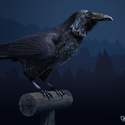 Raven