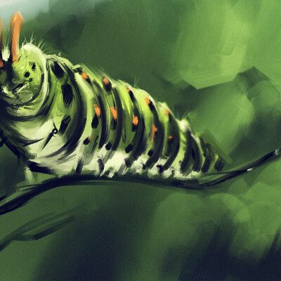 Worm