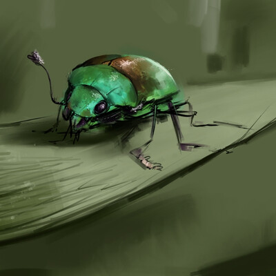 Bug