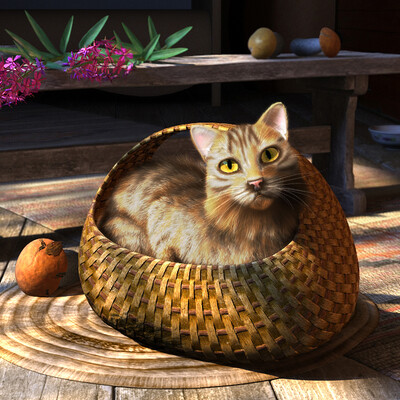 Cat in a basket