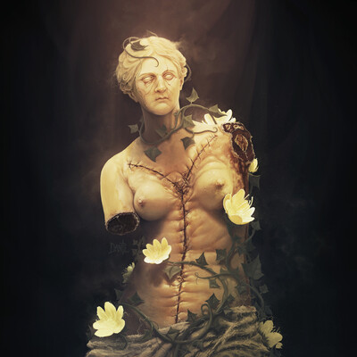 Venus autopsy