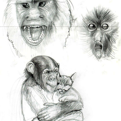 monkey