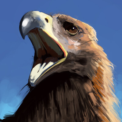 Eagle