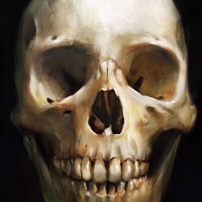 skull