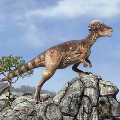 Pachycephalosaurus 