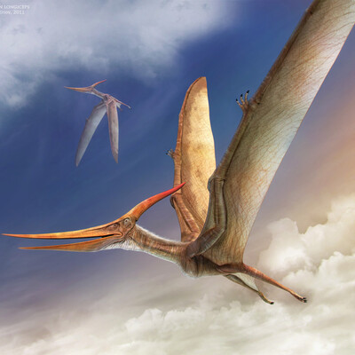 Flying Pteranodon