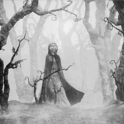 in forest