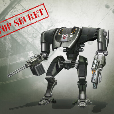 Combat robot