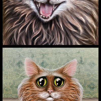 Cats
