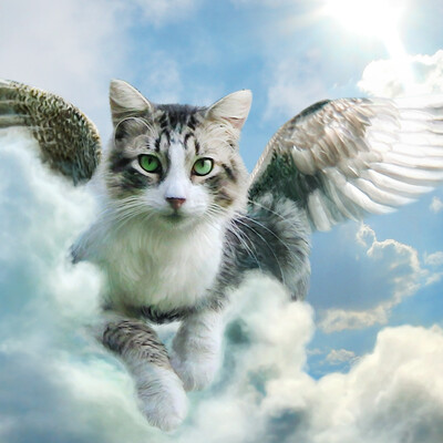 Trust in the sky