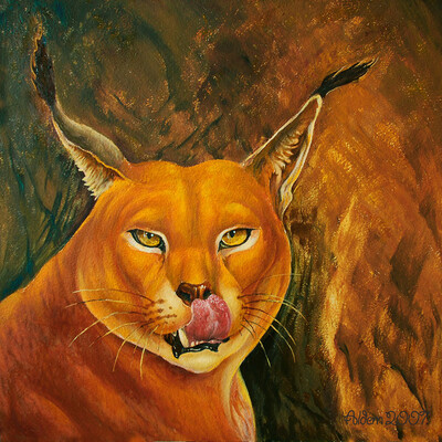 Caracal's portrait 