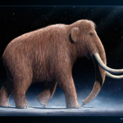 Woolly Mammoth