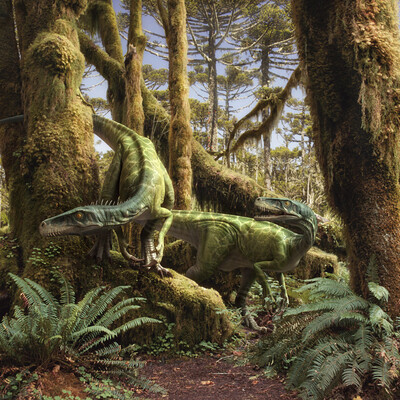 Early predators