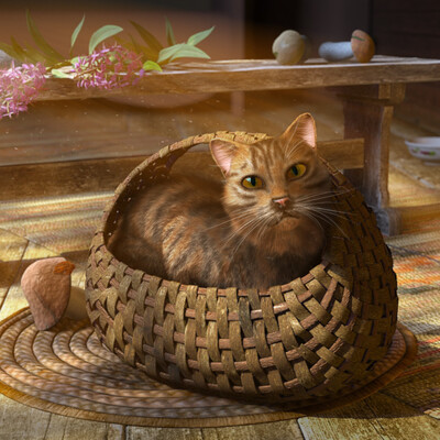 Cat in a basket V2