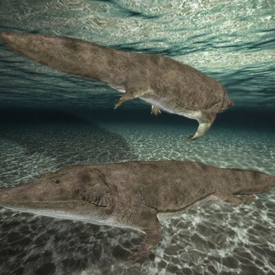 Mastodonsaurus
