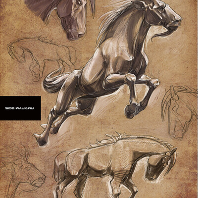 sketches