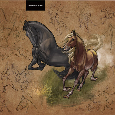 as ahorses