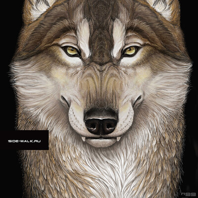 wolf print