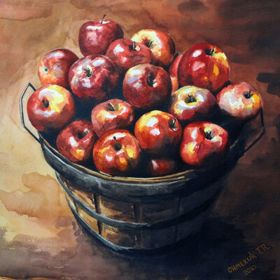 the harvest