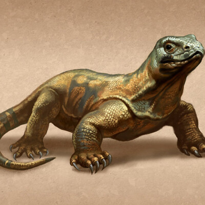 goanna