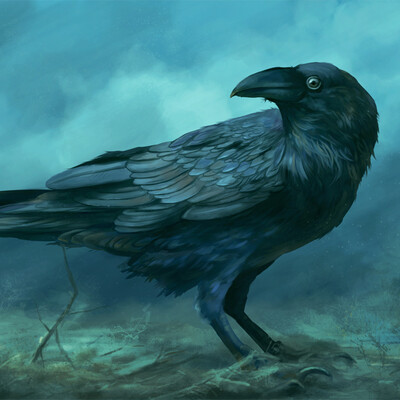 Corvus